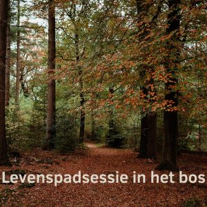 Levenspadsessie in het bos